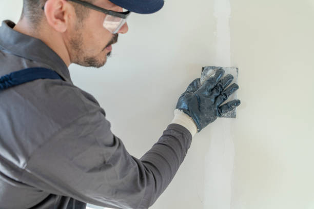 Best Drywall Sanding and Smoothing  in Neenah, WI